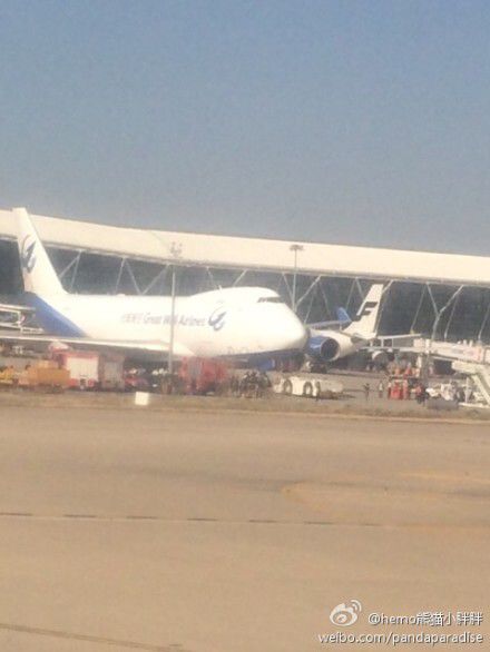 圖說：發(fā)生事故的飛機。圖片來源：新浪微博網(wǎng)友圖（請私信“新民晚報新民網(wǎng)”以奉稿酬）
