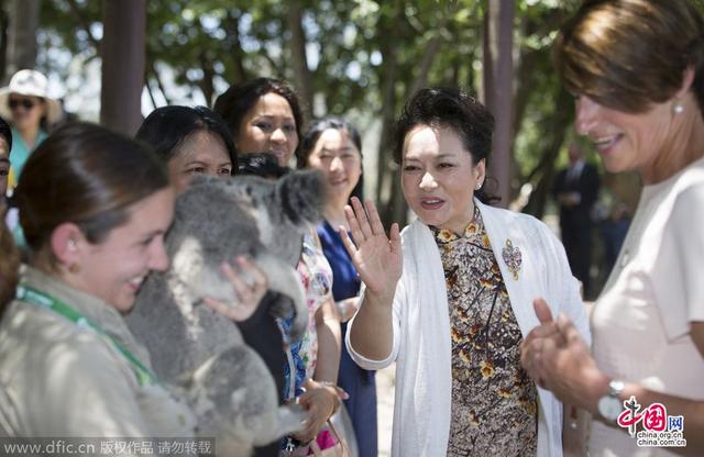 彭麗媛赴澳參加G20峰會(huì)擁抱考拉 彭麗媛赴澳參加G20峰會(huì)擁抱考拉