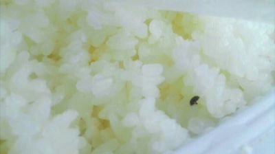 陸先生在高鐵上購買的“梅菜扣肉套餐”盒飯。盒飯中的米飯上有芝麻狀的黑色小蟲。