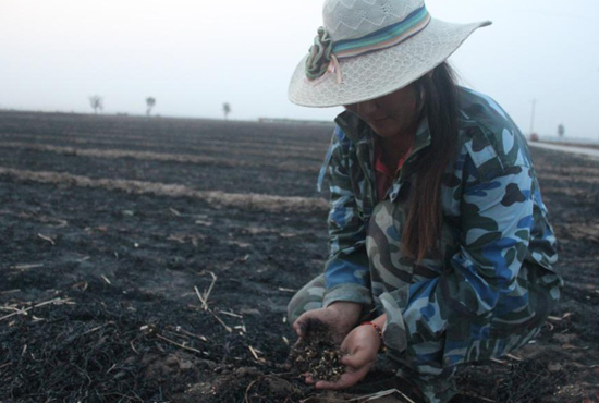 村民們眼巴巴看著豐收的小麥“葬身”火海，心疼不已。