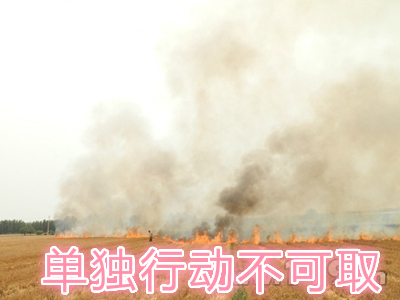 不要單獨一個人亂沖亂打：單獨行動被煙氣沖昏倒地，無人發(fā)覺被燒；