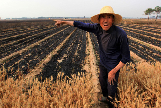 河南省滑縣、內(nèi)黃縣麥田著火，麥壟套種的花生、玉米苗也被烤焦，群眾損失慘重