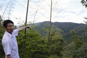 村民吳學(xué)田告訴記者，對(duì)面兩座山就是潘建友承包的部分山場(chǎng) 見(jiàn)習(xí)記者 邱一文 攝