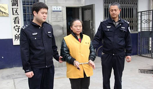 被抓的王某，網(wǎng)友稱：這不是大明湖畔的容嬤嬤么