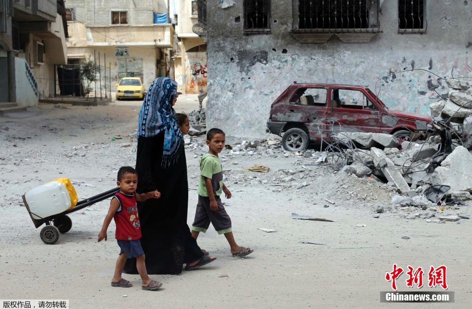 以色列對加沙發(fā)動地面進(jìn)攻 民眾攜羊群逃難 以色列對加沙發(fā)動地面進(jìn)攻 民眾攜羊群逃難