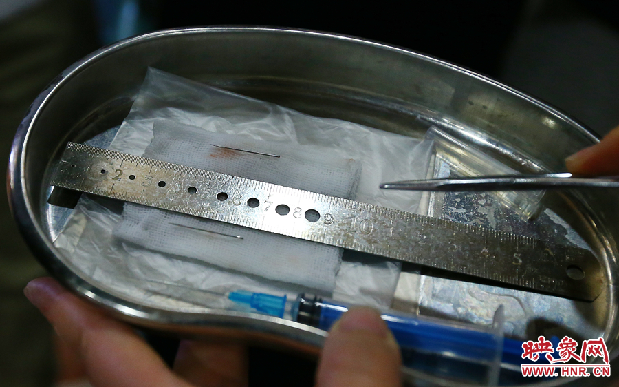 大龍顱內(nèi)取出的鋼針（上）和小龍顱內(nèi)的一樣（下），均為2.5厘米