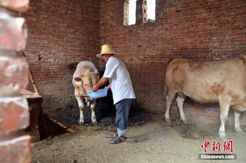 同時，地下水位的持續(xù)下降以及部分山泉水的干涸，已造成全縣2.85萬人和2000頭大牲畜出現(xiàn)飲水困難。