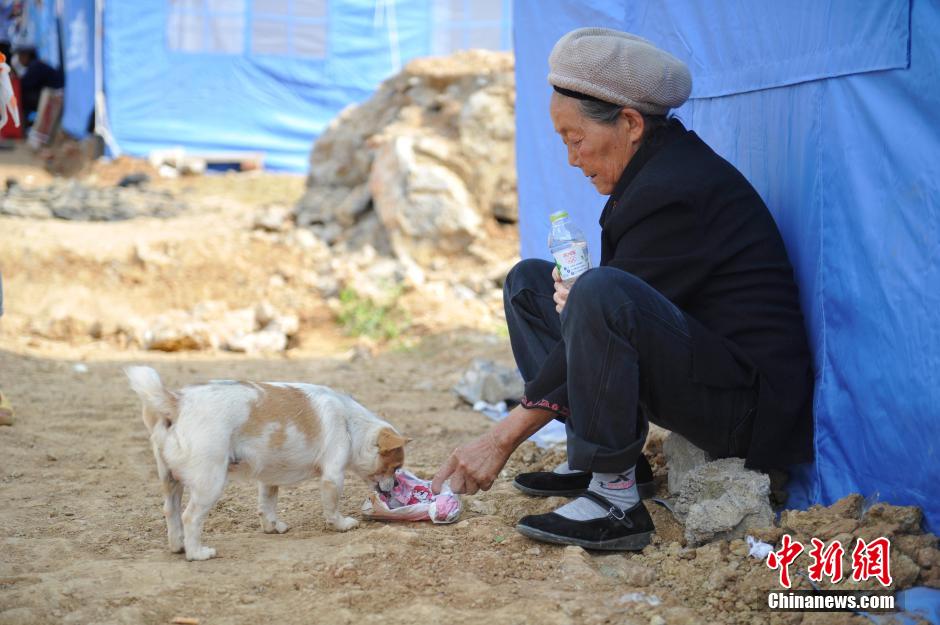 8月6日，一名老人將剛領(lǐng)到的礦泉水分給小狗。