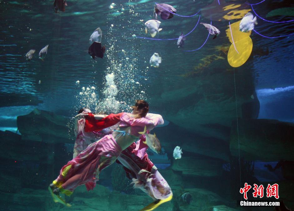 9月7日，在中秋節(jié)到來前一天，山東泉城海洋極地世界為游客帶來“嫦娥水中奔月”表演。