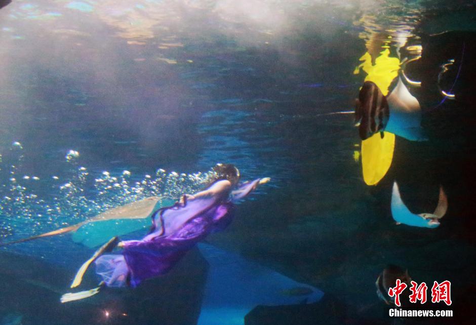 9月7日，在中秋節(jié)到來前一天，山東泉城海洋極地世界為游客帶來“嫦娥水中奔月”表演。