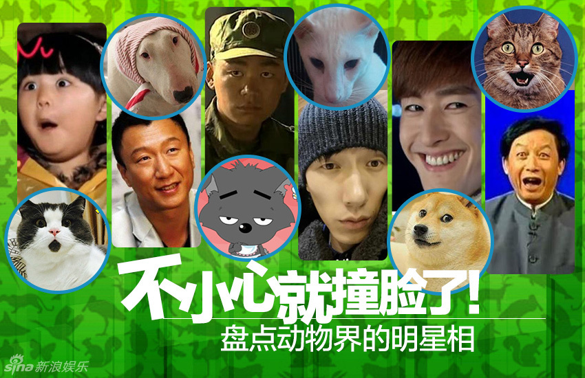不小心就撞臉了！盤點(diǎn)動(dòng)物界的明星相