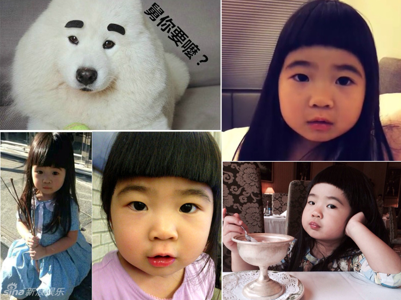 不小心就撞臉了！盤點(diǎn)動(dòng)物界的明星相