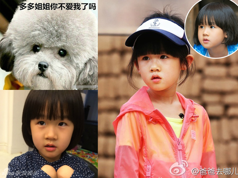 不小心就撞臉了！盤點(diǎn)動(dòng)物界的明星相