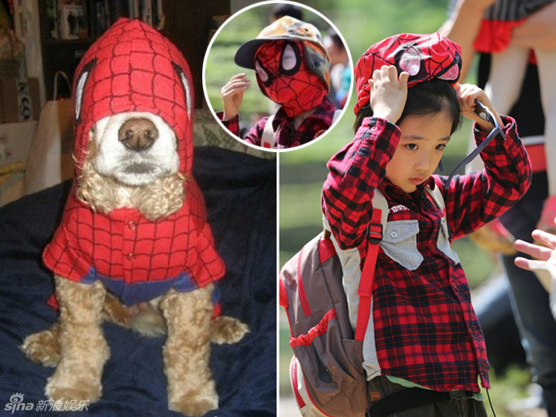 不小心就撞臉了！盤點(diǎn)動(dòng)物界的明星相