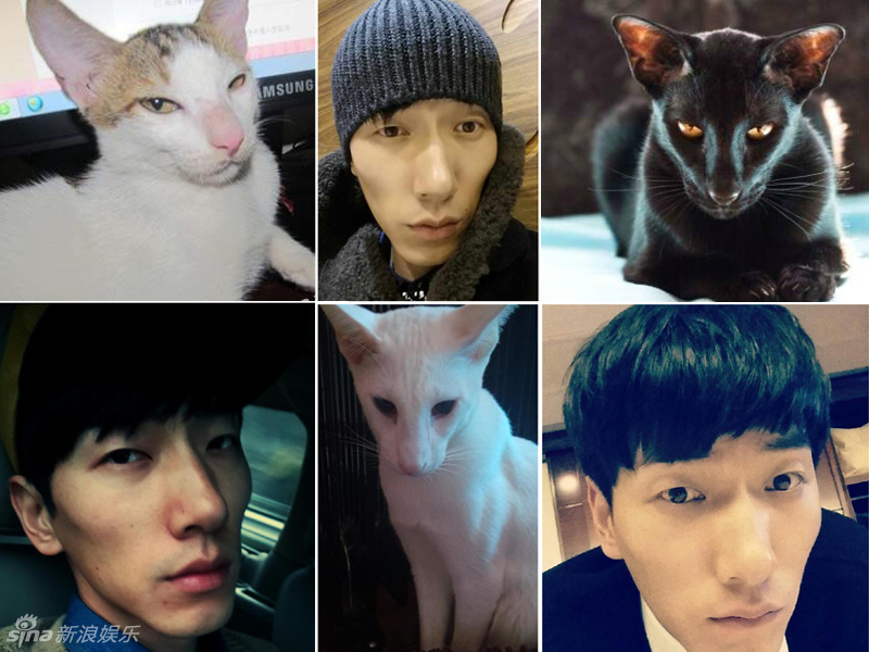 不小心就撞臉了！盤點(diǎn)動(dòng)物界的明星相