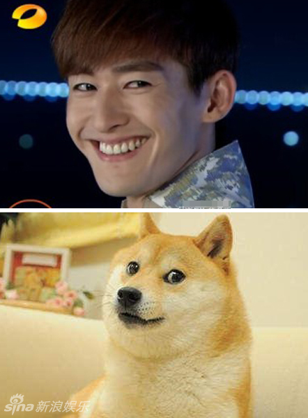 不小心就撞臉了！盤點(diǎn)動(dòng)物界的明星相