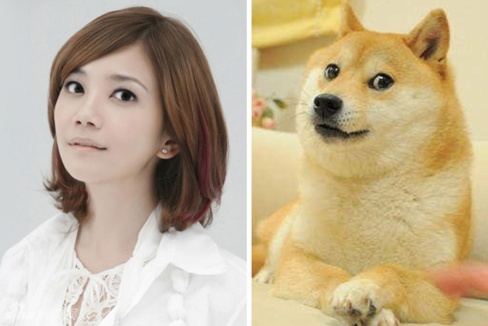 不小心就撞臉了！盤點(diǎn)動(dòng)物界的明星相