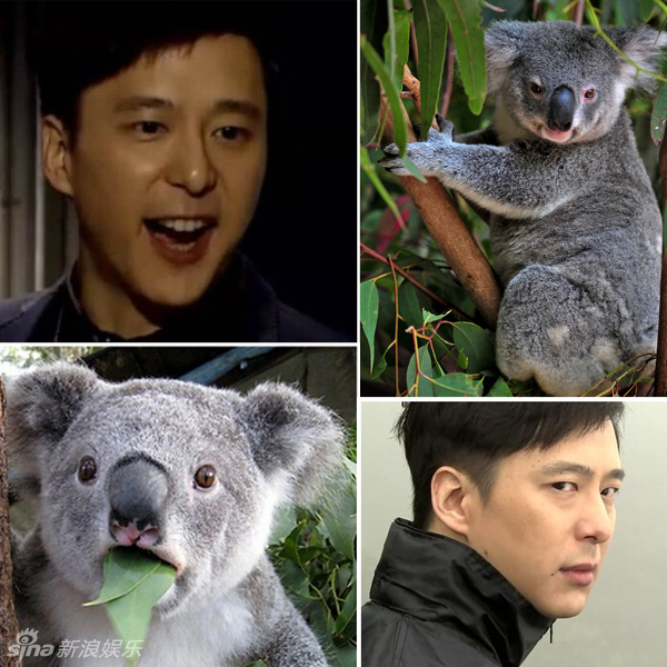 不小心就撞臉了！盤點(diǎn)動(dòng)物界的明星相