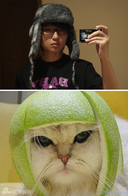 不小心就撞臉了！盤點(diǎn)動(dòng)物界的明星相