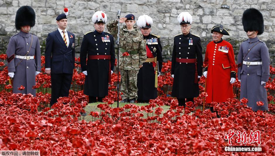 當(dāng)?shù)貢r(shí)間2014年11月10日，英國(guó)倫敦，倫敦塔周邊“種植”了888246朵陶瓷材質(zhì)的罌粟花，以此紀(jì)