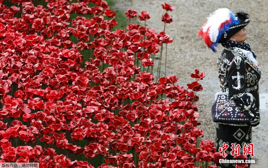 當(dāng)?shù)貢r(shí)間2014年11月10日，英國(guó)倫敦，倫敦塔周邊“種植”了888246朵陶瓷材質(zhì)的罌粟花，以此紀(jì)