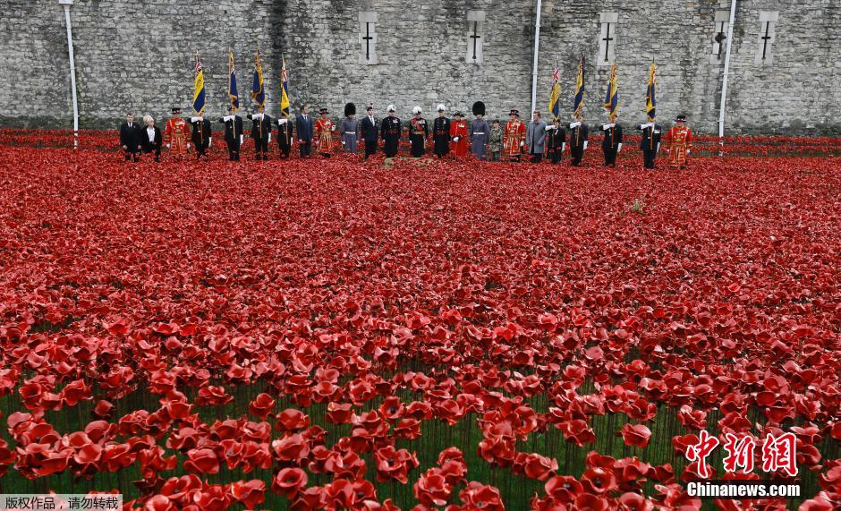 當(dāng)?shù)貢r(shí)間2014年11月10日，英國(guó)倫敦，倫敦塔周邊“種植”了888246朵陶瓷材質(zhì)的罌粟花，以此紀(jì)