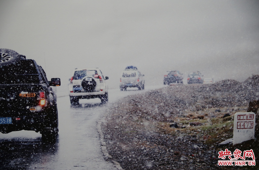 賽車的世界、更是男人的世界。圖為部分參展攝影作品。