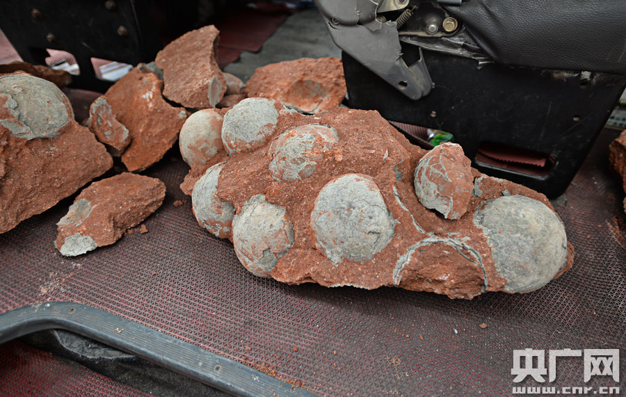 其中完整的19枚，都是直徑約13厘米的“大個子”。