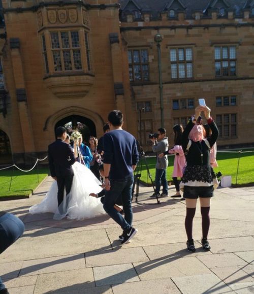 劉強(qiáng)東奶茶妹被曝悉尼拍婚紗照 劉強(qiáng)東奶茶妹被曝悉尼拍婚紗照