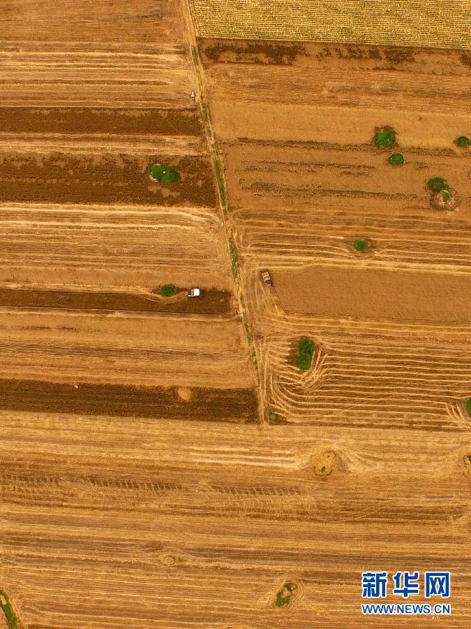 這是5月28日在河南省南陽市唐河縣甘河灣村航拍的麥?zhǔn)宅F(xiàn)場(chǎng)。