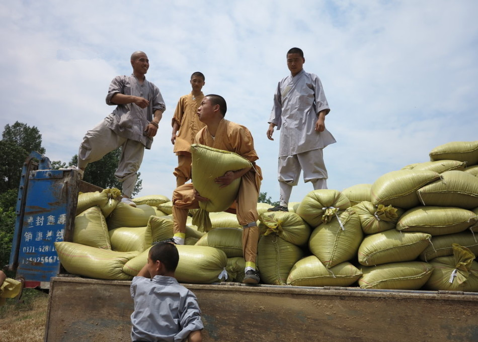 武僧將打包后的糧食集中至運(yùn)輸車輛上。