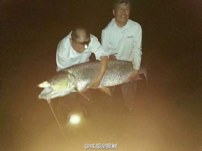 圖為大魚需要兩個(gè)人抱起。