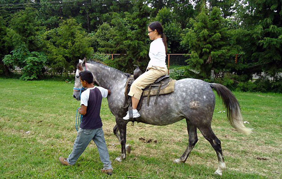 美國(guó)“勵(lì)志姐”天生無雙臂 用腳開飛機(jī)彈鋼琴 美國(guó)“勵(lì)志姐”天生無雙臂 用腳開飛機(jī)彈鋼琴