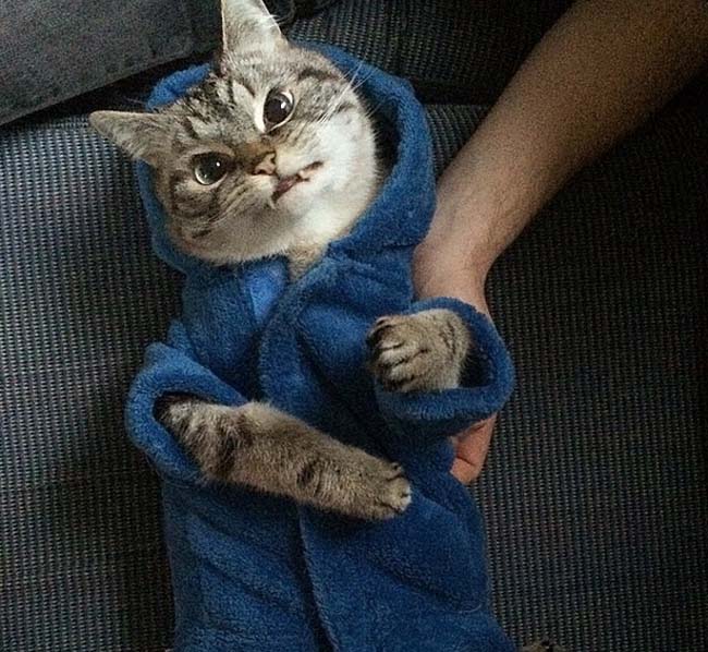 身穿浴袍的Loki好像看起來(lái)也沒(méi)那么兇哦。