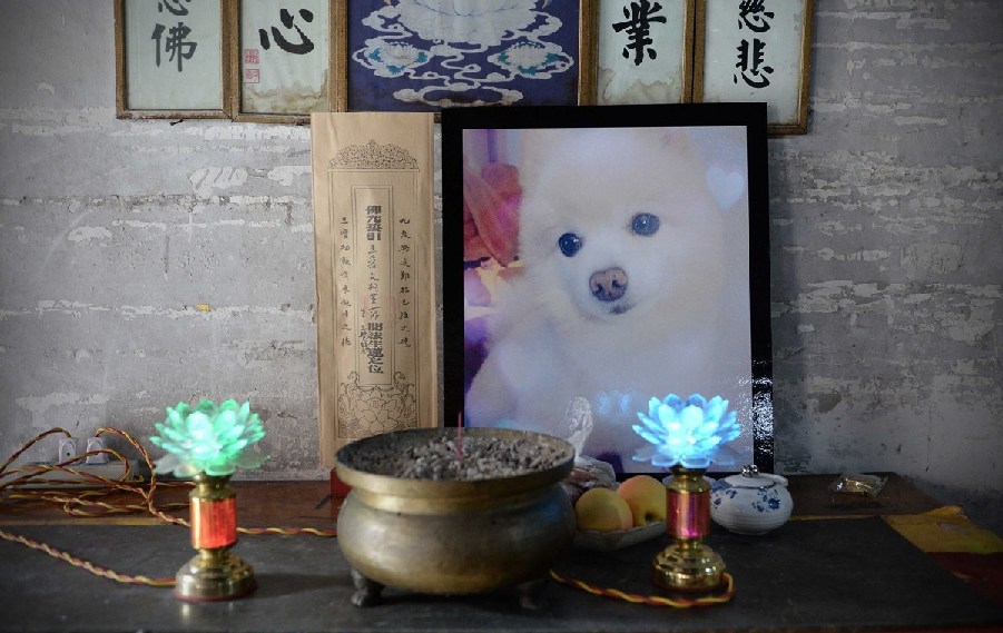 寵物狗的遺像被擺放在寺廟中。