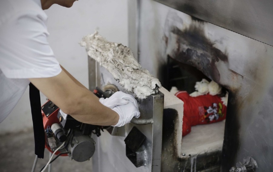 工作人員將狗狗推入火化爐。