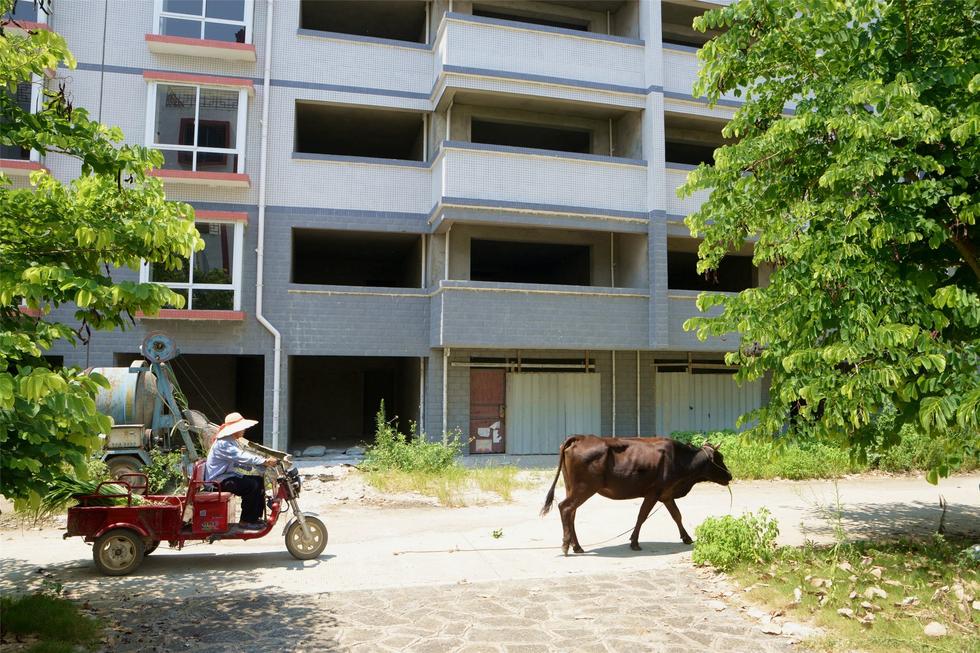 2016年7月26日，村民在廣西來賓市忻城縣隆達山水福城荒廢別墅間放牛。
