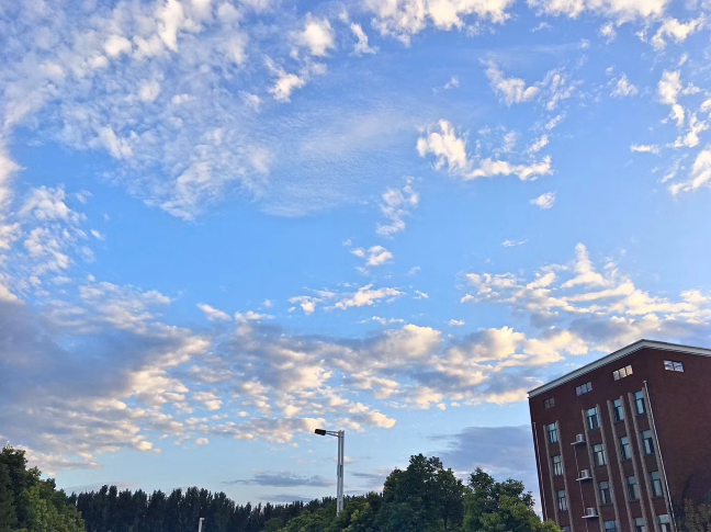 又被鄭州的藍(lán)天刷屏！隨便一拍就是手機(jī)壁紙