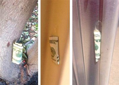 “隱藏的鈔票”會被神秘人藏在公園、廁所等“奇怪的地方”。