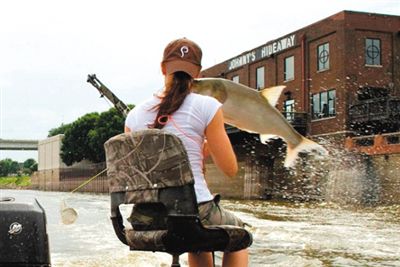 亞洲鯉魚(yú)突然躍出水面，對(duì)游客“發(fā)動(dòng)襲擊”。