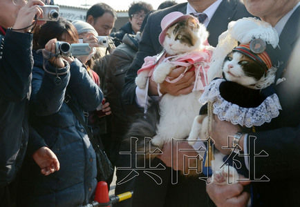 圖為粉絲們簇擁著“阿玉”站長（右）。左側為其部下“二玉”。