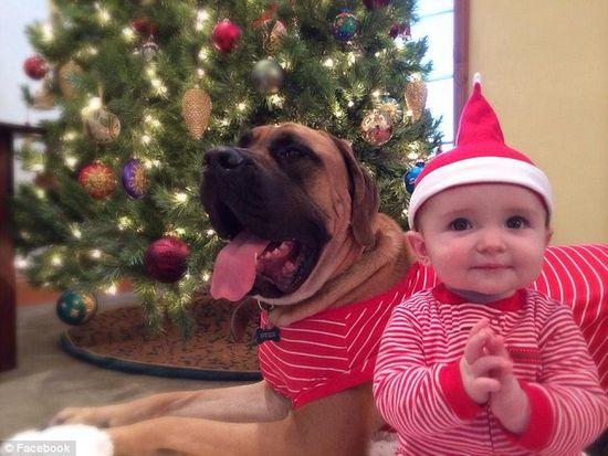 圖為美國2歲大的寵物犬與主人9個(gè)月大的女嬰。圖片來源：臉譜網(wǎng)站（Facebook）。