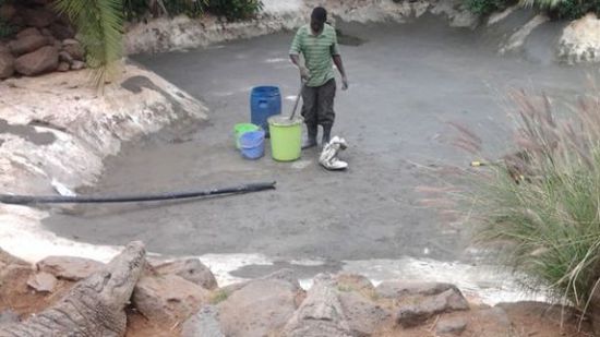 穆克的養(yǎng)殖場(chǎng)，鱷視眈眈下的工作人員。