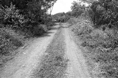 單獨(dú)乘坐“黑三輪”儋州25歲孝順女遇害