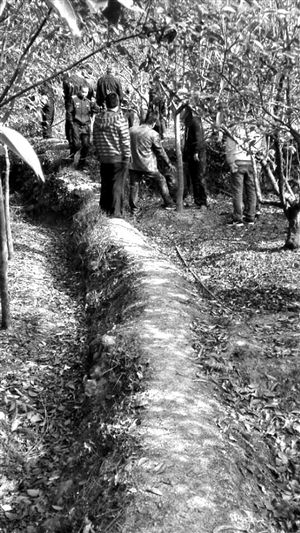 浙江女孩遭遇出租車(chē)司機(jī)劫財(cái) 大聲呼救被殺(圖)