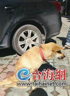 事發(fā)現(xiàn)場 事發(fā)現(xiàn)場