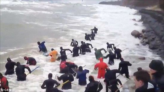 一場(chǎng)暴雨后，俄羅斯加里寧格勒Pionersky鎮(zhèn)，數(shù)十人潛入海水中搜尋琥珀。