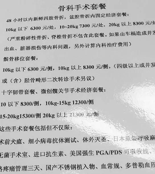 女子為給愛犬治病 從新疆開了4天車還花費5萬5 女子為給愛犬治病 從新疆開了4天車還花費5萬5