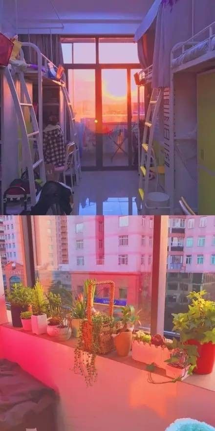 這個(gè)學(xué)校的男生宿舍火了！女同學(xué)都喊著要嫁