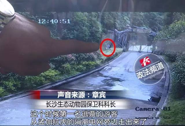 2女1男為逃票翻墻進(jìn)動(dòng)物園 落地時(shí)周圍站了7只虎 2女1男為逃票翻墻進(jìn)動(dòng)物園 落地時(shí)周圍站了7只虎